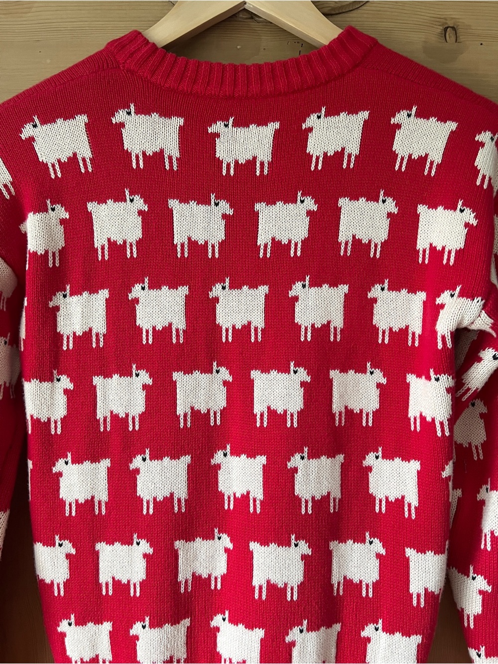 Warm & Wonderful Black Sheep Sweater - Picture 11 of 12